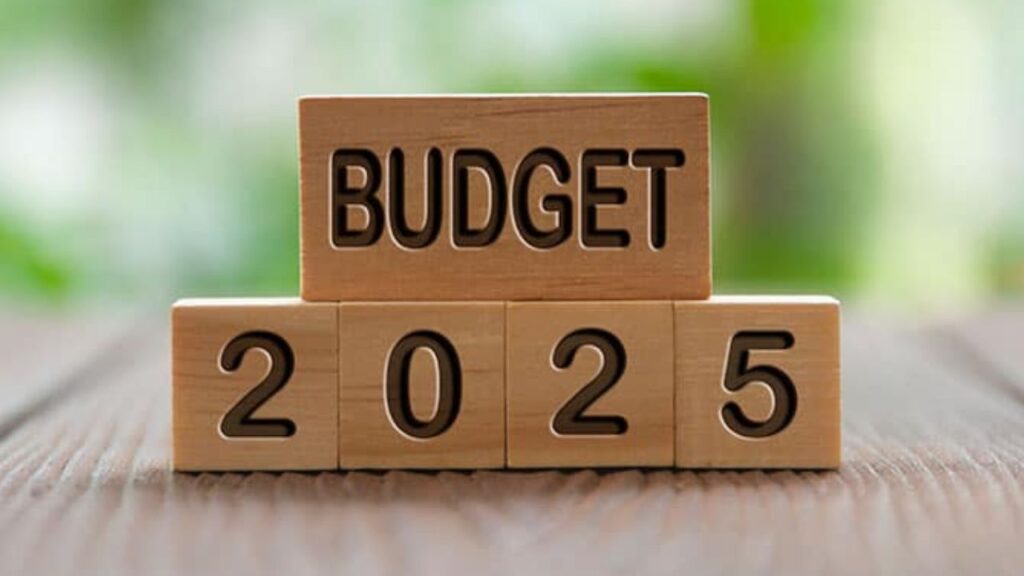 South Africa Budget 2025