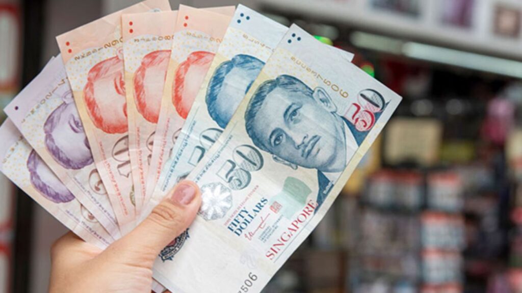 Government Payment