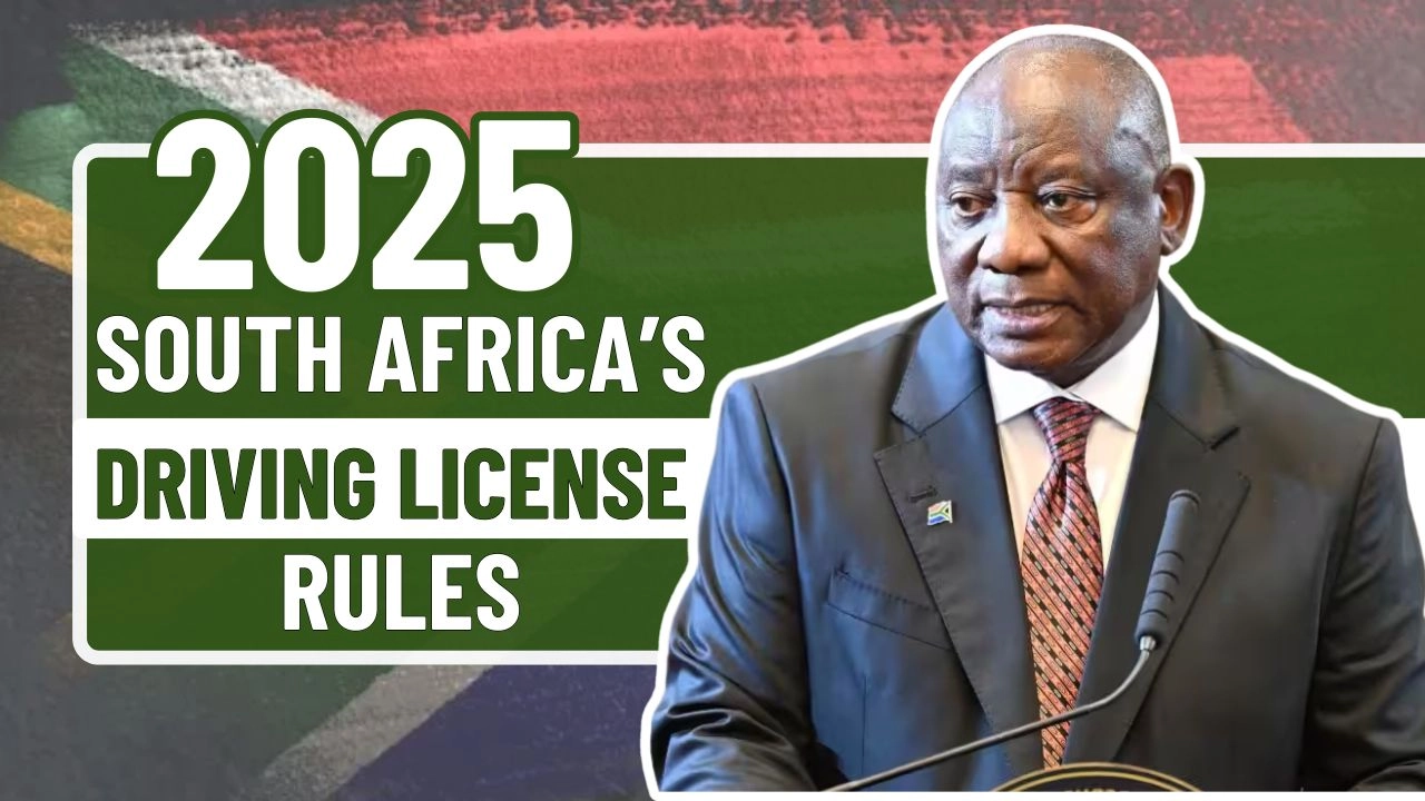 driving license reforms